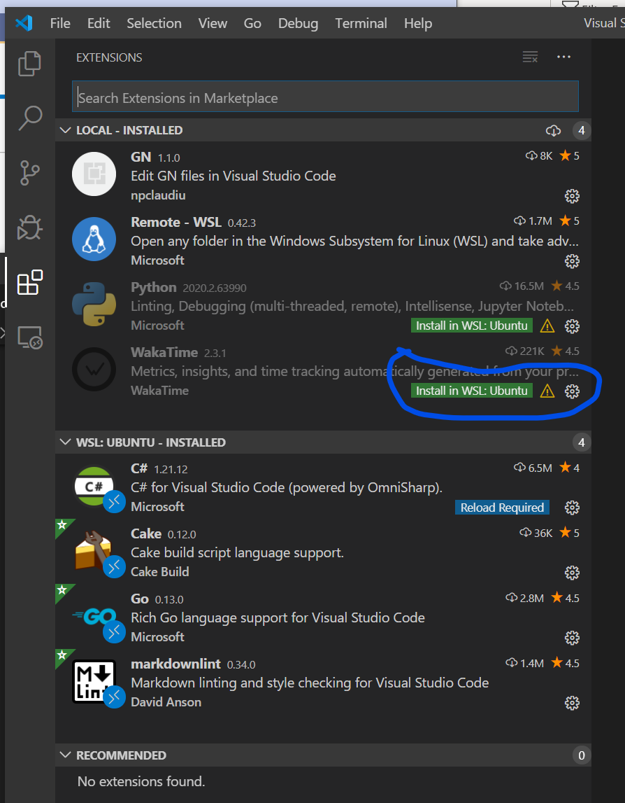 intsalled local not on WSL2